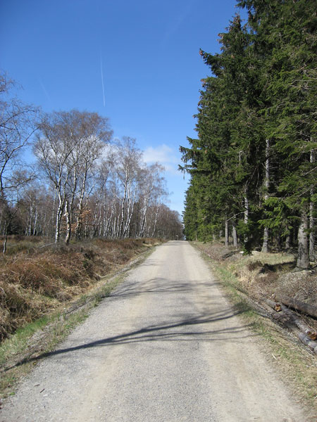 ES3