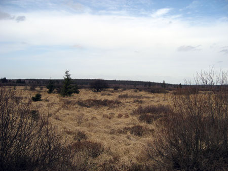 ES7